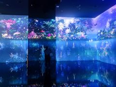 -中国湿地博物馆