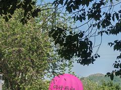 -白水寺森林公园