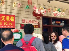 -青浦采草莓天天草莓园