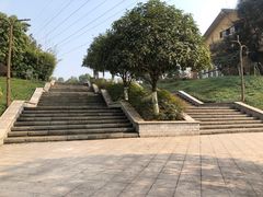 -重庆彩云湖湿地公园