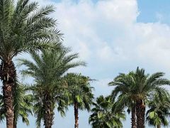 -晓琦农家菜馆·地道农家菜