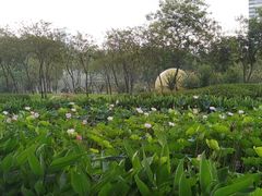 -顺峰山公园