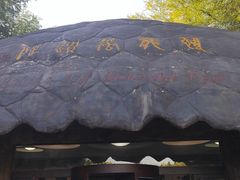 -中国西峡恐龙遗迹园