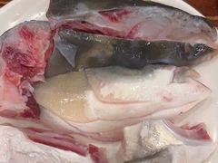 -正能量脆肉鲩火锅