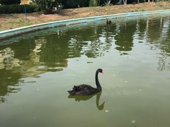 -蓬莱欧乐堡梦幻世界