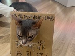 -NRG健身私教CLUB(打浦桥店)