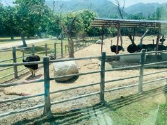 -西安秦岭野生动物园