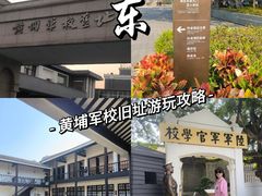 -长洲岛