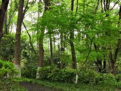 -杭州半山国家森林公园