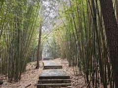-潜山国家森林公园