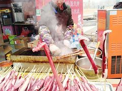 -梦东方未来世界航天主题乐园
