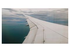 -全日本空输株式会社(上海办事处)