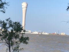 -上海吴淞炮台湾国家湿地公园