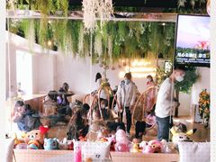 -Husky Go! 哈士奇体验馆·宠物咖啡厅狗咖