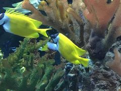 -多彩贵州城极地海洋世界