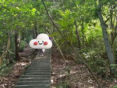 -梧桐山风景名胜区