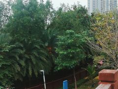 -金鸡岭桥头公园