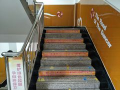 -陕西省小天鹅艺术团