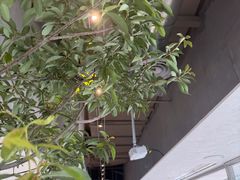 -喜茶(珠海华发商都店)