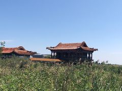 -哈素海