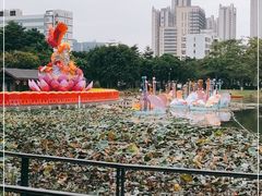 -映月湖公园
