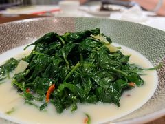 -红棉中餐厅·广州海航威斯汀酒店