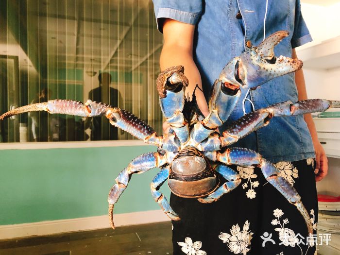 咪咪家的餐厅图片