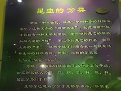 -上海昆虫博物馆