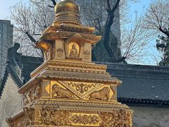 -西安大兴善寺