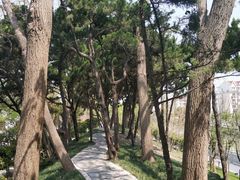 -嘉定紫藤园