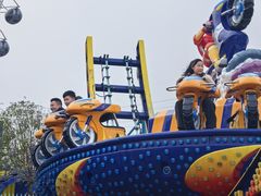-海合安武汉极地海洋公园