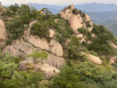 -六里坪国家森林公园
