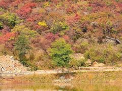 -周口店坡峰岭风景区