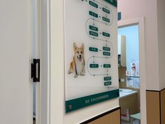 -瑞派康怡24h宠物医院·犬猫医疗中心·微创绝育(瑞景分院)