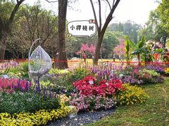 -广州市白云山风景名胜区