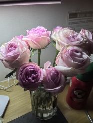 -悦子嘉月子中心旗舰馆(高新店)