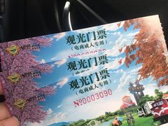 -田野绿世界