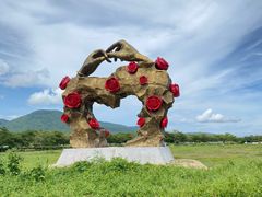 -亚龙湾国际玫瑰谷