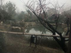 -溧阳天目湖天沐温泉