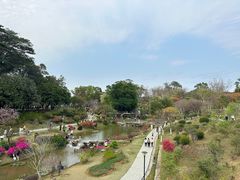 -东莞植物园