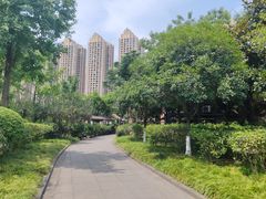-成都南湖公园
