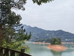 -广州市流溪河国家森林公园