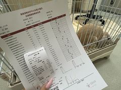 -美美宠物诊疗中心·异宠·骨科(滨江东信分院)