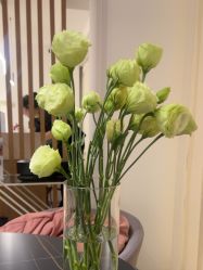 -海菲秀黑钻·SELF SKIN悦己·Tech SPA