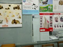 -成都民大动物医院