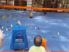 -长白岛森林公园