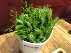 鲜豆苗-好彩猪肚鸡(正弘城店)