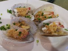 北极贝蒸粉丝-崖口红树林海鲜餐厅