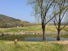 -玉渡山自然风景区