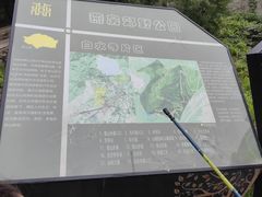 -白水寺森林公园